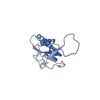 8597_5uq8_Q_v1-1
70S ribosome complex with dnaX mRNA stem-loop and E-site tRNA ("out" conformation)