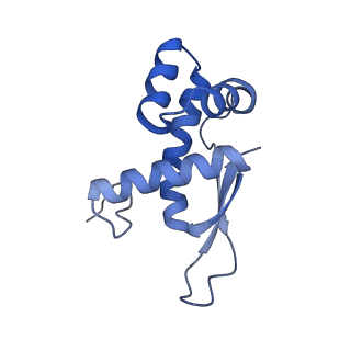 8597_5uq8_R_v1-1
70S ribosome complex with dnaX mRNA stem-loop and E-site tRNA ("out" conformation)