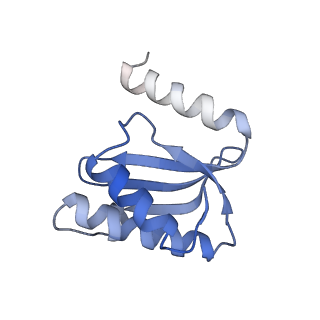 8597_5uq8_S_v1-1
70S ribosome complex with dnaX mRNA stem-loop and E-site tRNA ("out" conformation)