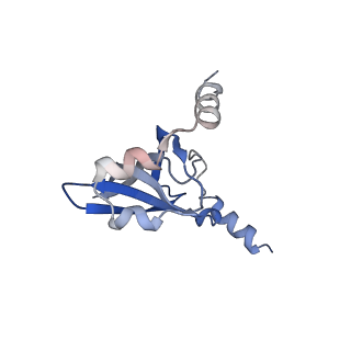8597_5uq8_T_v1-1
70S ribosome complex with dnaX mRNA stem-loop and E-site tRNA ("out" conformation)