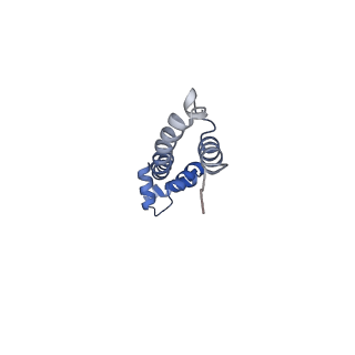 8597_5uq8_U_v1-1
70S ribosome complex with dnaX mRNA stem-loop and E-site tRNA ("out" conformation)