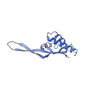 8597_5uq8_W_v1-1
70S ribosome complex with dnaX mRNA stem-loop and E-site tRNA ("out" conformation)