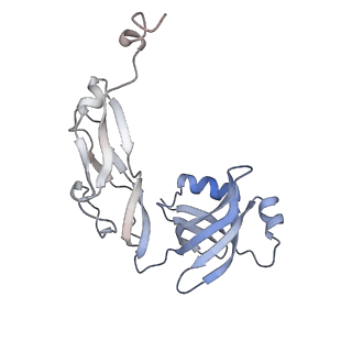 8597_5uq8_Z_v1-1
70S ribosome complex with dnaX mRNA stem-loop and E-site tRNA ("out" conformation)