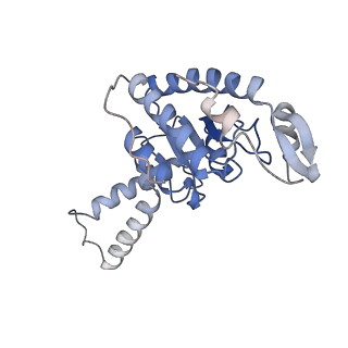 8597_5uq8_b_v1-1
70S ribosome complex with dnaX mRNA stem-loop and E-site tRNA ("out" conformation)