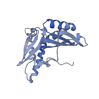8597_5uq8_c_v1-1
70S ribosome complex with dnaX mRNA stem-loop and E-site tRNA ("out" conformation)