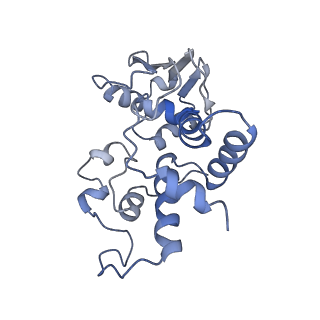 8597_5uq8_d_v1-1
70S ribosome complex with dnaX mRNA stem-loop and E-site tRNA ("out" conformation)
