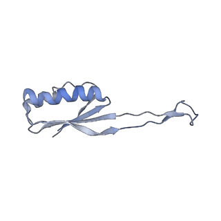 8597_5uq8_j_v1-1
70S ribosome complex with dnaX mRNA stem-loop and E-site tRNA ("out" conformation)