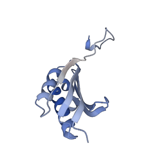 8597_5uq8_k_v1-1
70S ribosome complex with dnaX mRNA stem-loop and E-site tRNA ("out" conformation)