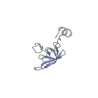8597_5uq8_l_v1-1
70S ribosome complex with dnaX mRNA stem-loop and E-site tRNA ("out" conformation)