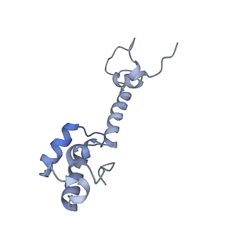 8597_5uq8_m_v1-1
70S ribosome complex with dnaX mRNA stem-loop and E-site tRNA ("out" conformation)