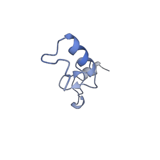 8597_5uq8_n_v1-1
70S ribosome complex with dnaX mRNA stem-loop and E-site tRNA ("out" conformation)