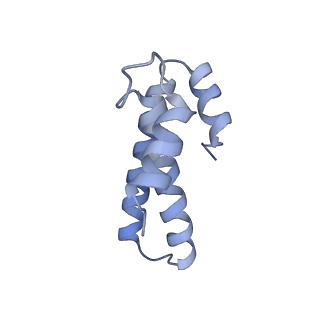 8597_5uq8_o_v1-1
70S ribosome complex with dnaX mRNA stem-loop and E-site tRNA ("out" conformation)