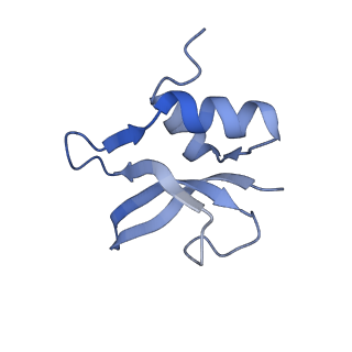 8597_5uq8_p_v1-1
70S ribosome complex with dnaX mRNA stem-loop and E-site tRNA ("out" conformation)