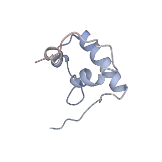 8597_5uq8_r_v1-1
70S ribosome complex with dnaX mRNA stem-loop and E-site tRNA ("out" conformation)