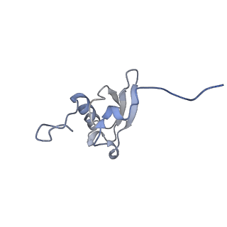 8597_5uq8_s_v1-1
70S ribosome complex with dnaX mRNA stem-loop and E-site tRNA ("out" conformation)