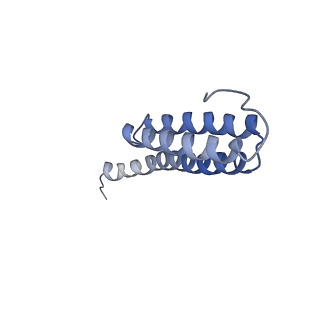 8597_5uq8_t_v1-1
70S ribosome complex with dnaX mRNA stem-loop and E-site tRNA ("out" conformation)