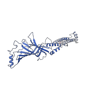20857_6ur8_C_v1-2
CryoEM structure of human alpha4beta2 nicotinic acetylcholine receptor in complex with varenicline