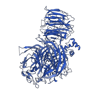 20860_6urg_A_v1-3
Cryo-EM structure of human CPSF160-WDR33-CPSF30-CPSF100 PIM complex