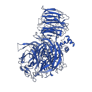 20860_6urg_A_v1-4
Cryo-EM structure of human CPSF160-WDR33-CPSF30-CPSF100 PIM complex