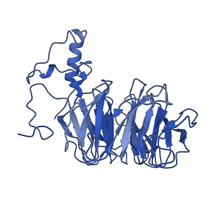 20860_6urg_B_v1-3
Cryo-EM structure of human CPSF160-WDR33-CPSF30-CPSF100 PIM complex