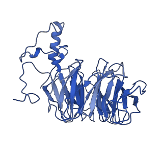 20860_6urg_B_v1-4
Cryo-EM structure of human CPSF160-WDR33-CPSF30-CPSF100 PIM complex