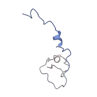 20860_6urg_C_v1-3
Cryo-EM structure of human CPSF160-WDR33-CPSF30-CPSF100 PIM complex
