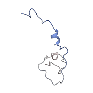 20860_6urg_C_v1-4
Cryo-EM structure of human CPSF160-WDR33-CPSF30-CPSF100 PIM complex