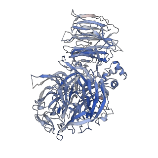 20861_6uro_A_v1-3
Cryo-EM structure of human CPSF160-WDR33-CPSF30-PAS RNA-CstF77 complex