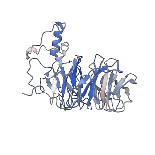 20861_6uro_B_v1-2
Cryo-EM structure of human CPSF160-WDR33-CPSF30-PAS RNA-CstF77 complex