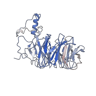 20861_6uro_B_v1-3
Cryo-EM structure of human CPSF160-WDR33-CPSF30-PAS RNA-CstF77 complex