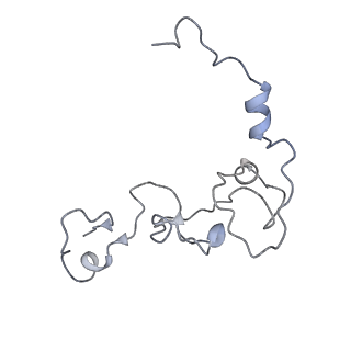 20861_6uro_C_v1-2
Cryo-EM structure of human CPSF160-WDR33-CPSF30-PAS RNA-CstF77 complex