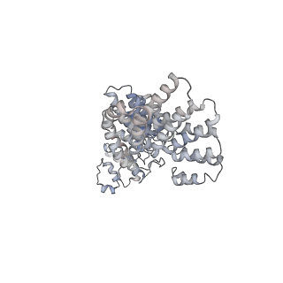 20861_6uro_E_v1-2
Cryo-EM structure of human CPSF160-WDR33-CPSF30-PAS RNA-CstF77 complex