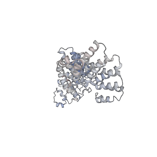 20861_6uro_E_v1-3
Cryo-EM structure of human CPSF160-WDR33-CPSF30-PAS RNA-CstF77 complex