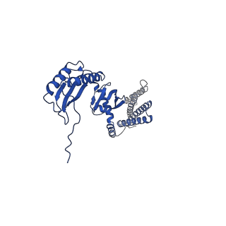 20862_6urt_B_v1-1
Extended Sensor Paddles with Bound Lipids Revealed in Mechanosensitive Channel YnaI