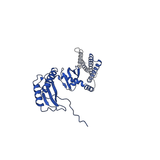 20862_6urt_C_v1-1
Extended Sensor Paddles with Bound Lipids Revealed in Mechanosensitive Channel YnaI