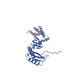 20862_6urt_D_v1-1
Extended Sensor Paddles with Bound Lipids Revealed in Mechanosensitive Channel YnaI