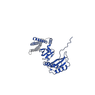 20862_6urt_E_v1-1
Extended Sensor Paddles with Bound Lipids Revealed in Mechanosensitive Channel YnaI