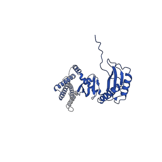 20862_6urt_F_v1-1
Extended Sensor Paddles with Bound Lipids Revealed in Mechanosensitive Channel YnaI