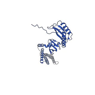 20862_6urt_G_v1-1
Extended Sensor Paddles with Bound Lipids Revealed in Mechanosensitive Channel YnaI