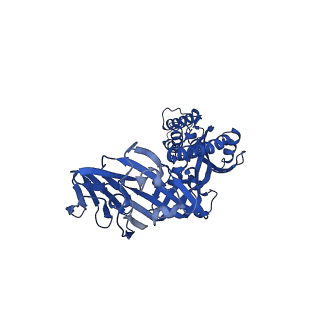 26704_7ur4_B_v1-1
Cryo-EM Structure of the Neutralizing Antibody MPV467 in Complex with Prefusion Human Metapneumovirus F Glycoprotein