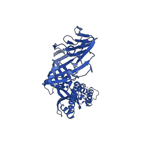 26704_7ur4_C_v1-1
Cryo-EM Structure of the Neutralizing Antibody MPV467 in Complex with Prefusion Human Metapneumovirus F Glycoprotein