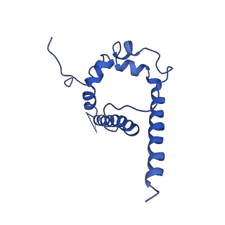 26706_7ur6_B_v1-0
Cryo-EM structure of SHIV-elicited, FP-directed Rhesus Fab RM6561.DH1021.14 in complex with stabilized HIV-1 Env Ce1176 DS-SOSIP.664