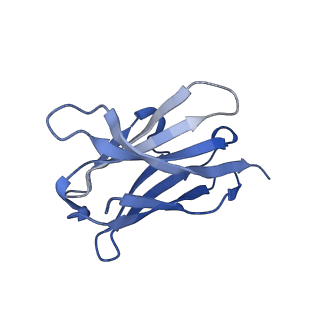 26707_7ura_H_v1-2
Human PORCN in complex with Palmitoleoyl-CoA