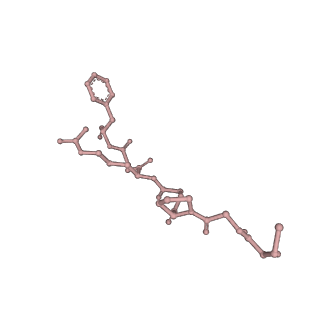 26711_7urf_B_v1-2
Human HHAT H379C in complex with SHH N-terminal peptide