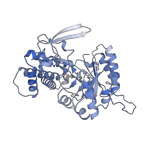 26712_7urg_A_v1-2
cryo-EM structure of ribonucleotide reductase from Synechococcus phage S-CBP4 bound with TTP