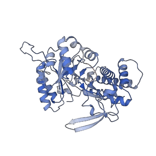 26712_7urg_B_v1-2
cryo-EM structure of ribonucleotide reductase from Synechococcus phage S-CBP4 bound with TTP