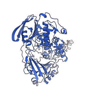 42480_8ur3_A_v1-1
Cryo-EM reconstruction of Staphylococcus aureus Oleate hydratase (OhyA) dimer with an ordered C-terminal membrane-association domain
