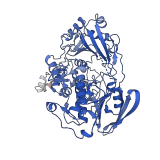 42480_8ur3_B_v1-1
Cryo-EM reconstruction of Staphylococcus aureus Oleate hydratase (OhyA) dimer with an ordered C-terminal membrane-association domain