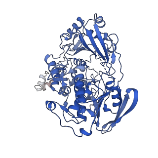 42480_8ur3_B_v1-2
Cryo-EM reconstruction of Staphylococcus aureus Oleate hydratase (OhyA) dimer with an ordered C-terminal membrane-association domain