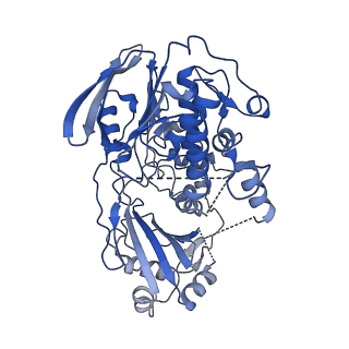 42484_8ur6_A_v1-2
Cryo-EM reconstruction of Staphylococcus aureus oleate hydratase (OhyA) dimer with a disordered C-terminal membrane-association domain